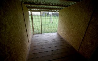 Astuces pour transformer votre sous-sol pour maximiser espace et luminosité